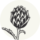 Become a Member of KoLa Leipzig eG